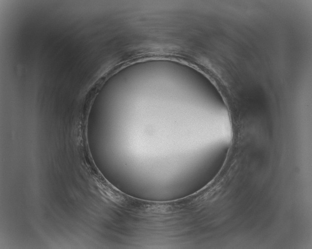 X0000074961211200609011137