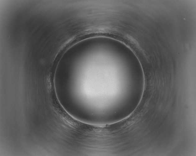X0000074961218200609011138