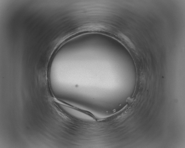 X0000074961226200609011138