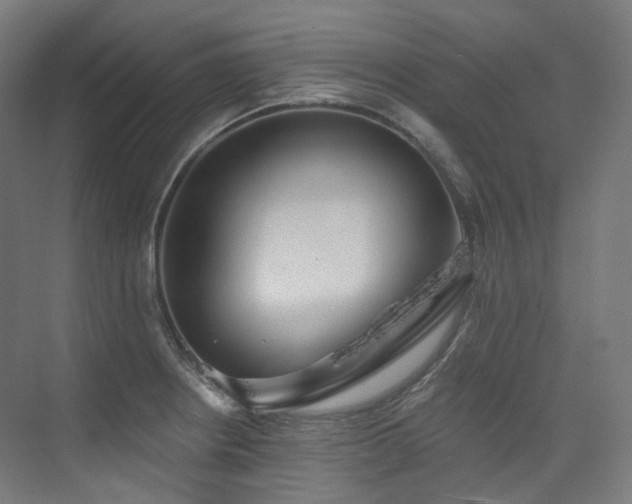 X0000074961234200609011138