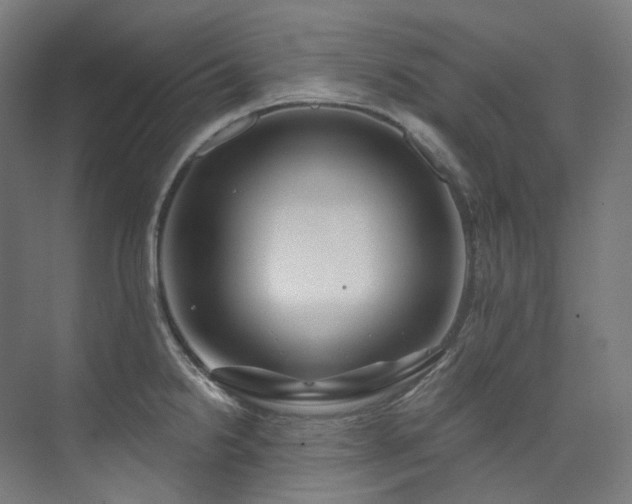 X0000074961238200609011138
