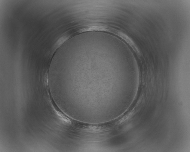 X0000074961241200609011138