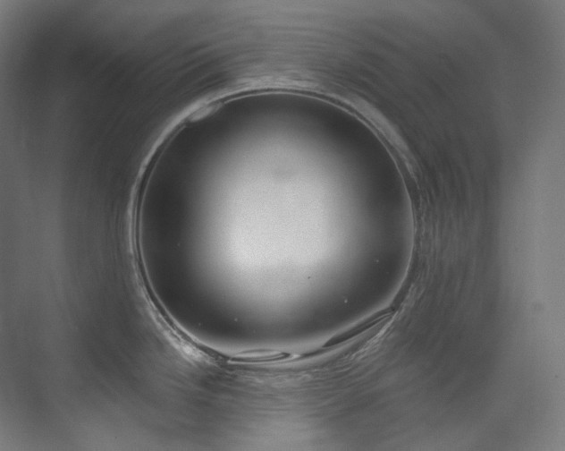 X0000074961246200609011138