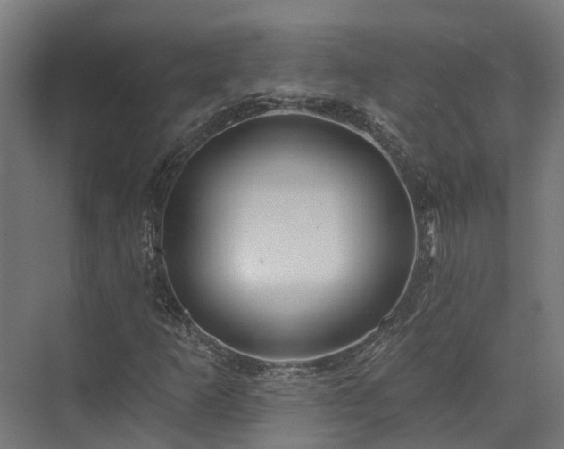 X0000074961253200609011137