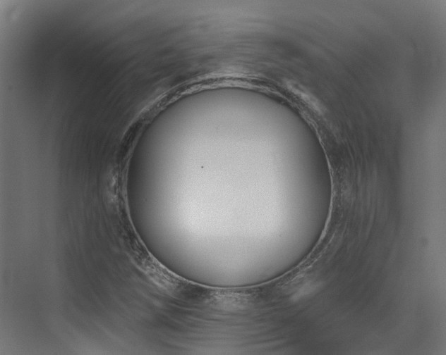 X0000074961258200609011137