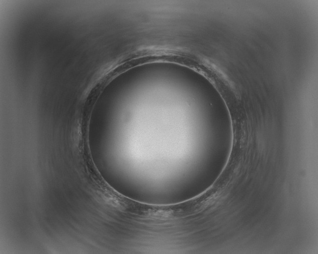 X0000074961261200609011137