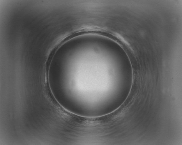 X0000074961269200609011137