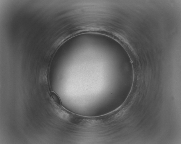 X0000074961273200609011137