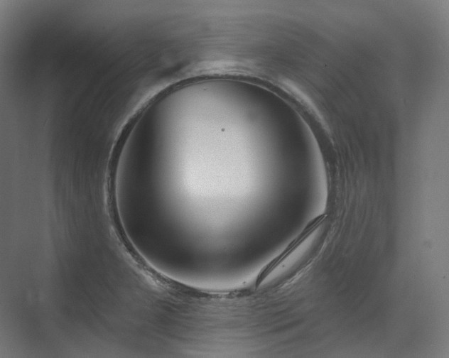 X0000074961277200609011137
