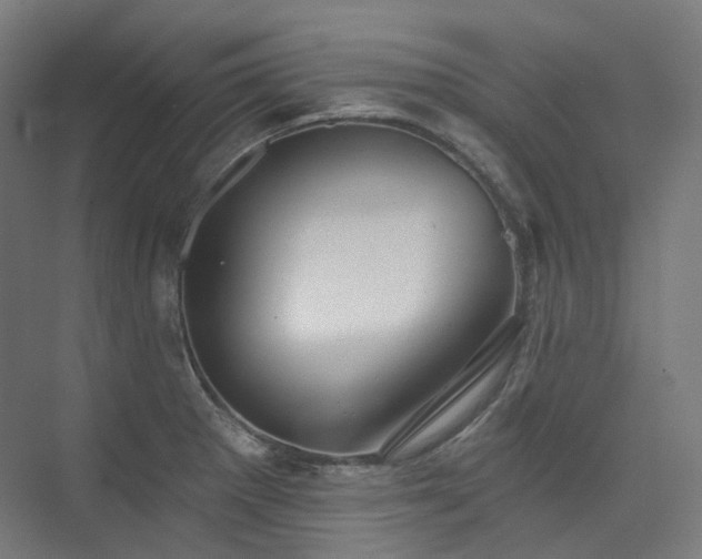 X0000074961281200609011137
