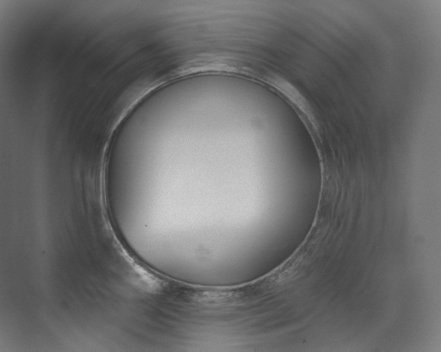 X0000074961290200609011137