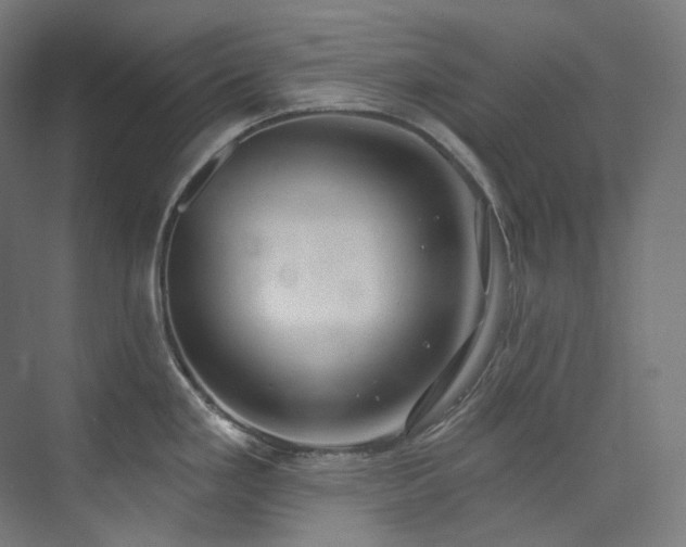 X0000074961293200609011137