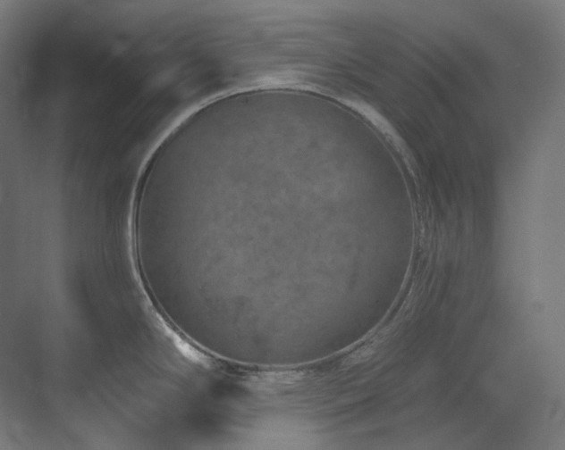 X0000074961294200609011137