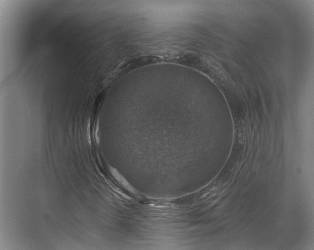 X0000074961298200609011136