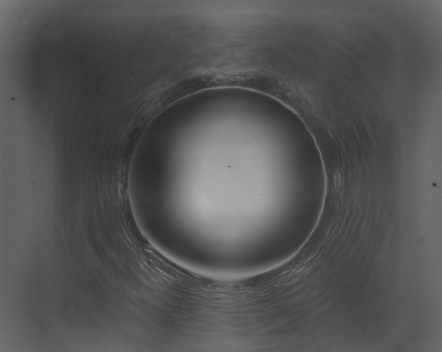 X0000074961300200609011136