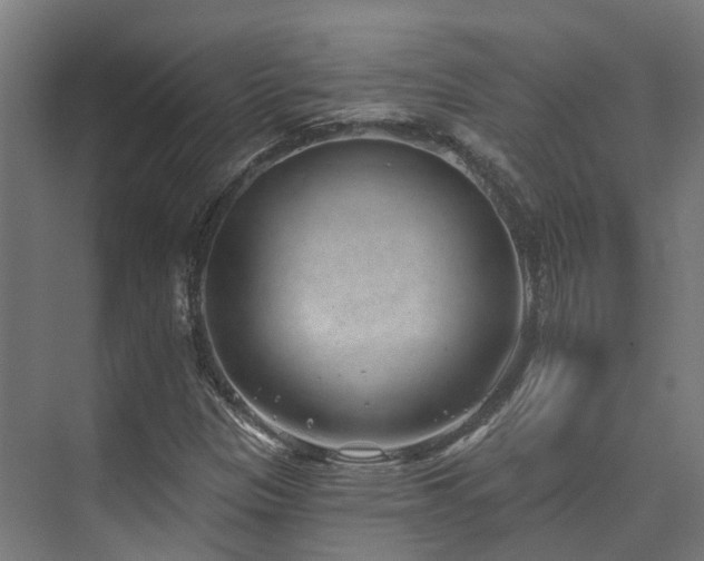 X0000074961305200609011136
