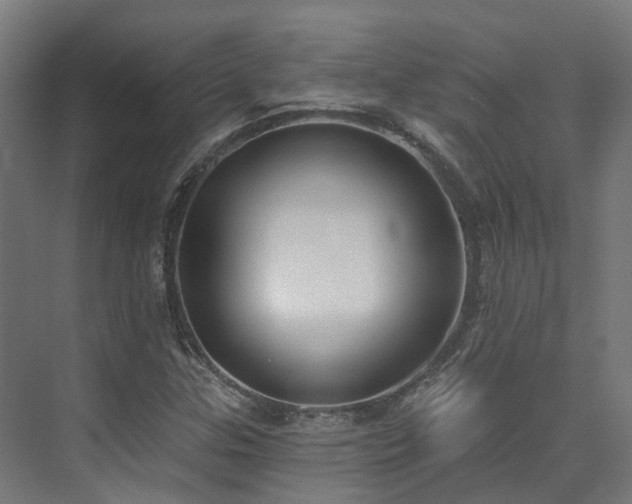 X0000074961307200609011136