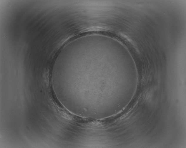 X0000074961313200609011136