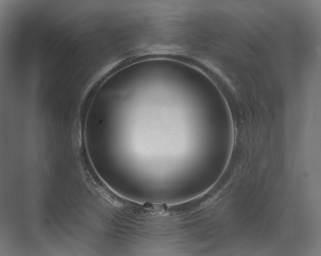 X0000074961317200609011136