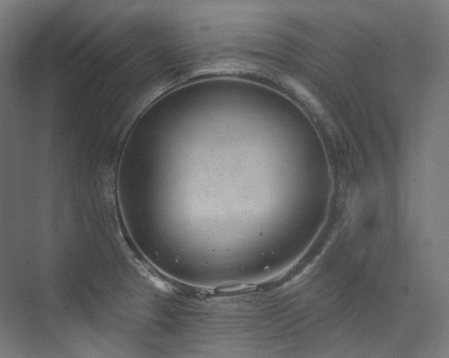 X0000074961329200609011136