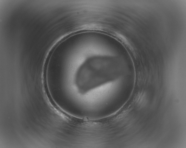 X0000074961331200609011136