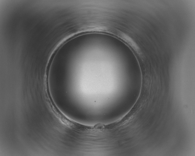 X0000074961332200609011136