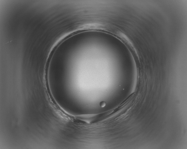 X0000074961336200609011136