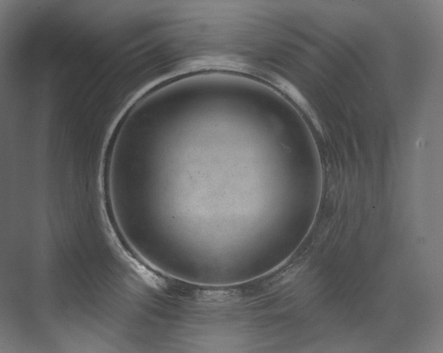 X0000074961339200609011136