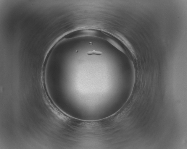 X0000074961340200609011136