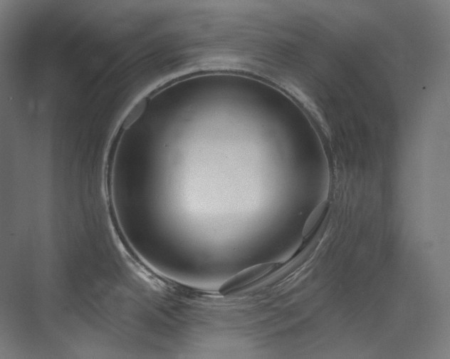 X0000074961342200609011136