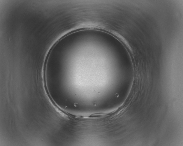 X0000074961343200609011136