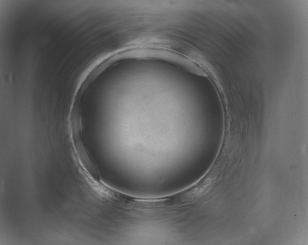 X0000074961344200609011136