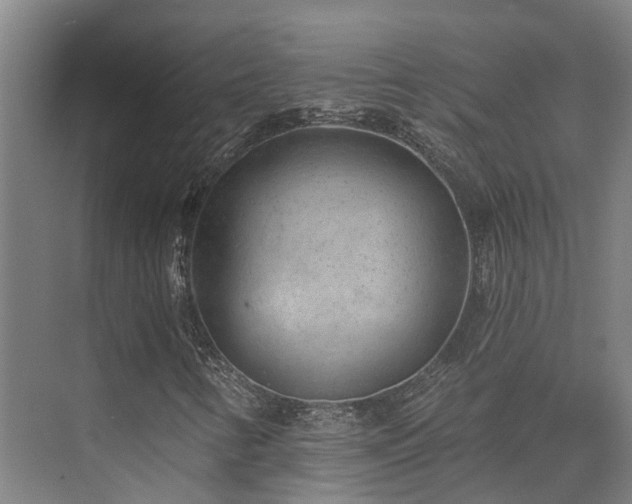 X0000074961346200609011136