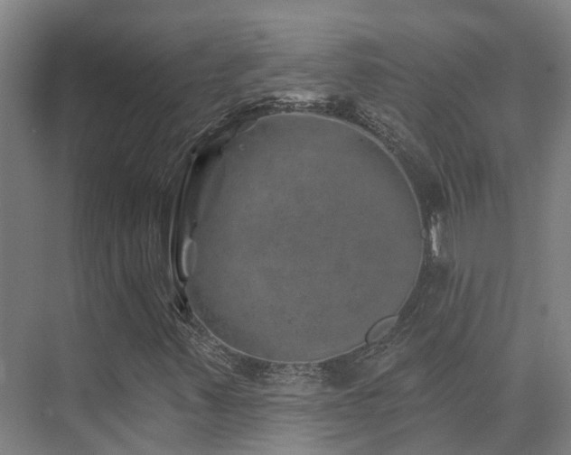 X0000074961347200609011136