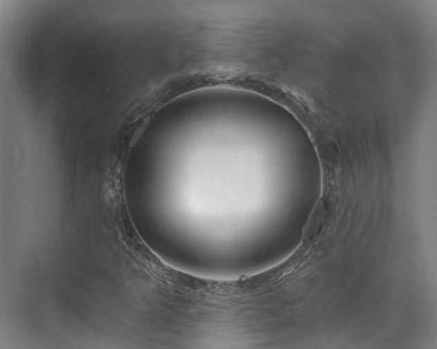 X0000074961349200609011136