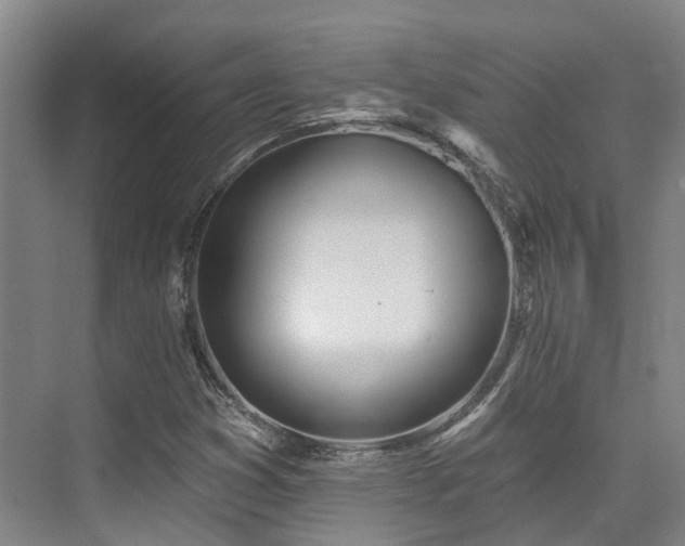 X0000074961353200609011136