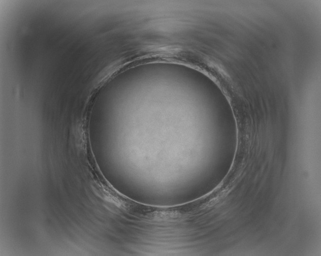 X0000074961354200609011136