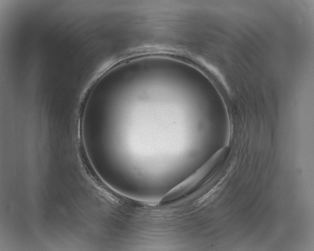 X0000074961365200609011135