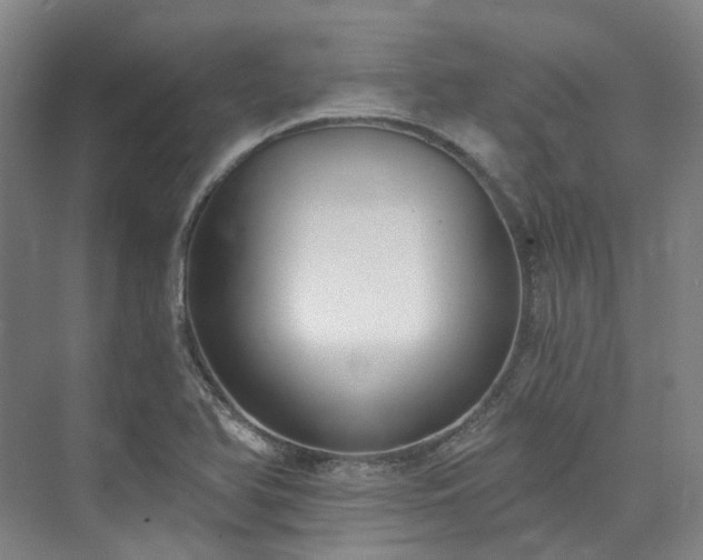 X0000074961366200609011135