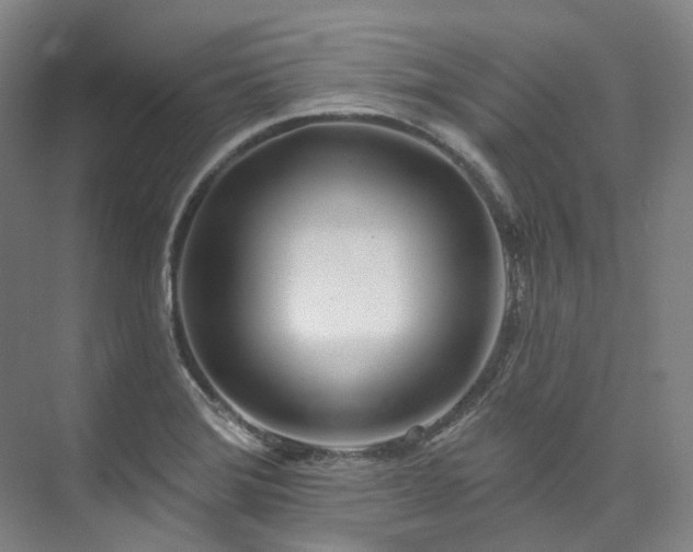 X0000074961372200609011135