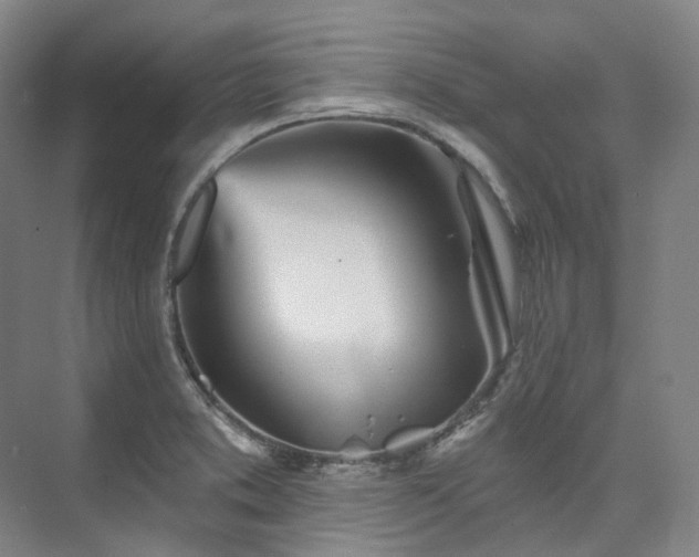 X0000074961373200609011135