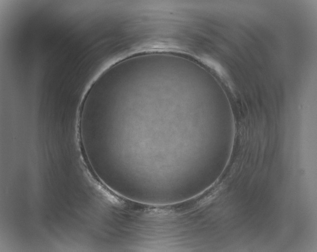 X0000074961374200609011135