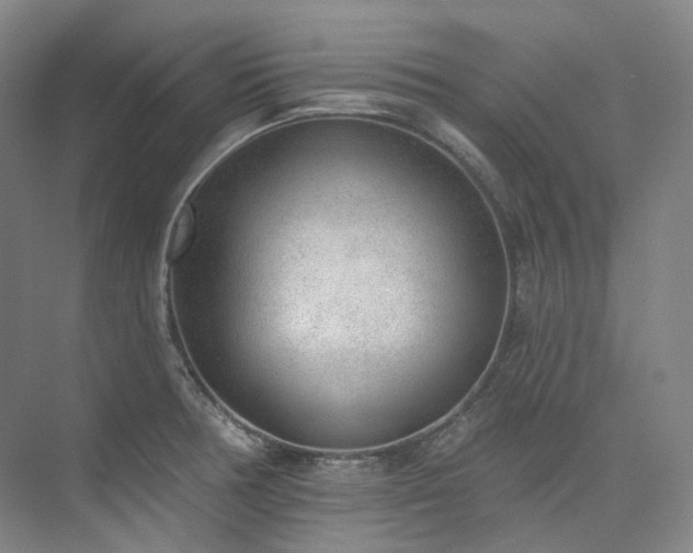X0000074961378200609011135