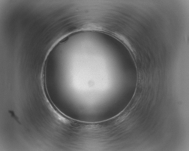 X0000074961387200609011135