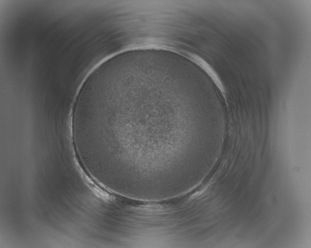 X0000074961388200609011135