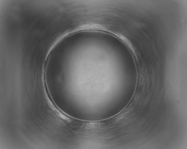 X0000074961390200609011135