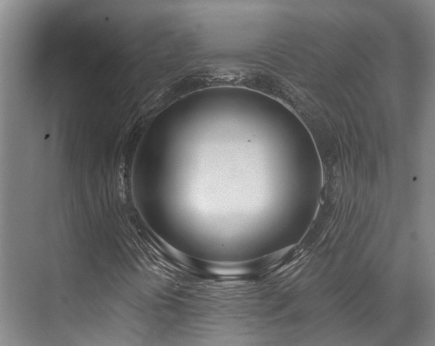 X0000074961394200609011134