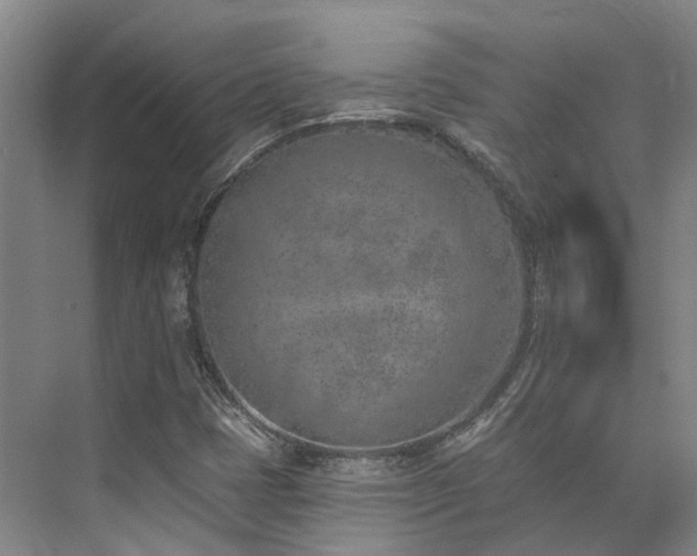 X0000074961401200609011134