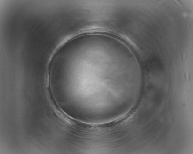 X0000074961413200609011134