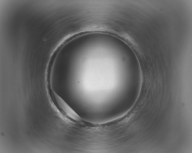 X0000074961422200609011135